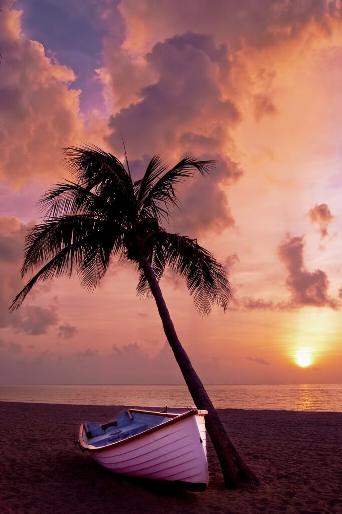Where to Find Beach Sunset and Palm Trees Metal Wall Art Where to Find Beach Sunset and Palm Trees Metal Wall Art